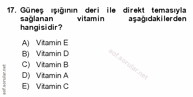 Soru 17