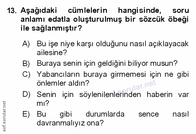 Soru 13