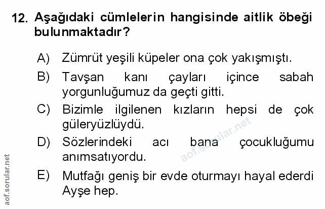 Soru 12