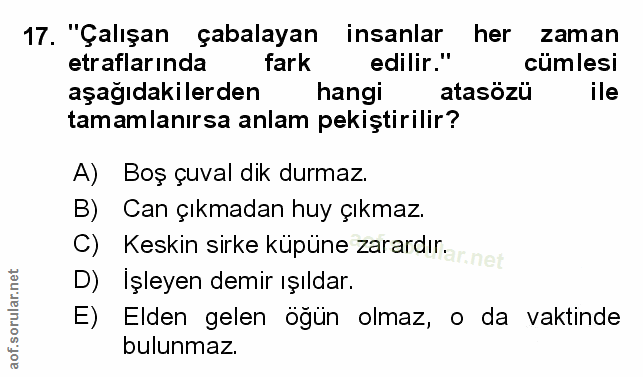 Soru 17