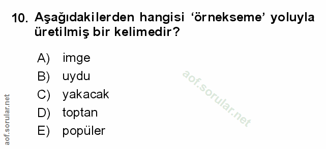 Soru 10