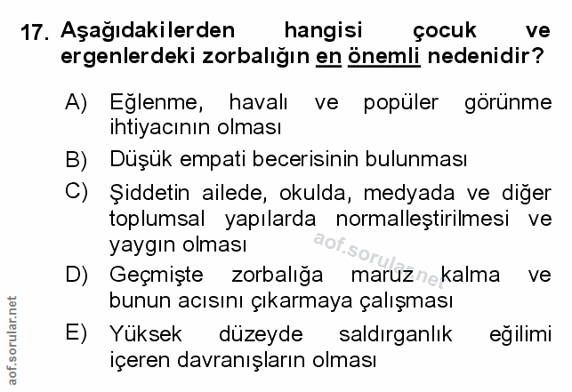 Soru 17