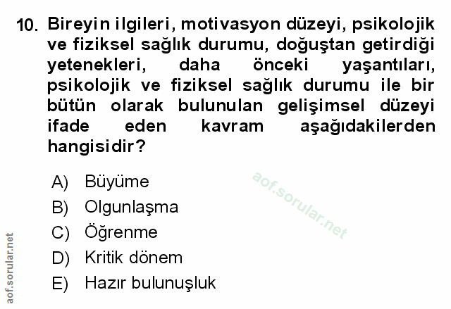 Soru 10