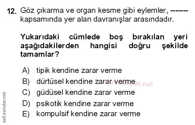 Soru 12
