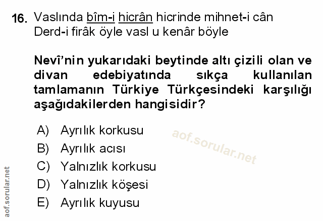 Soru 16