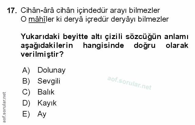 Soru 17