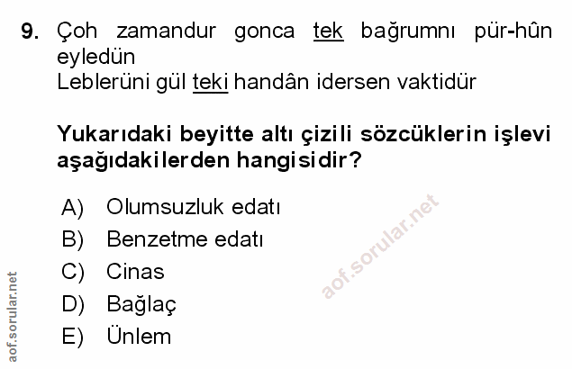 Soru 9
