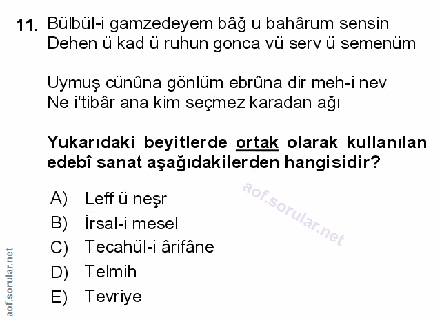Soru 11