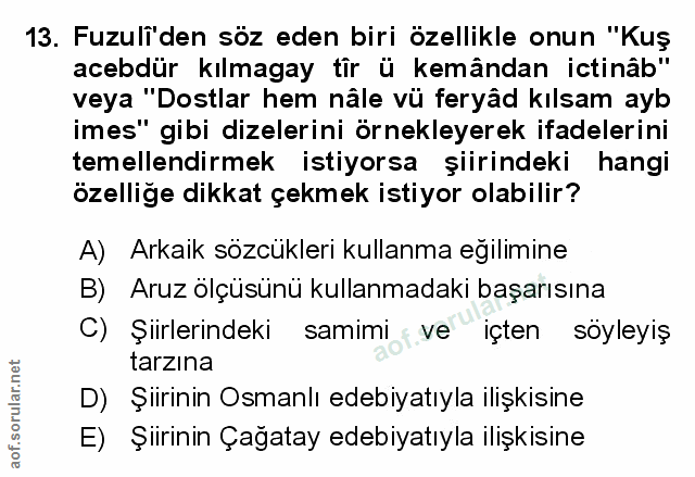 Soru 13