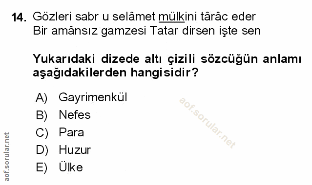 Soru 14