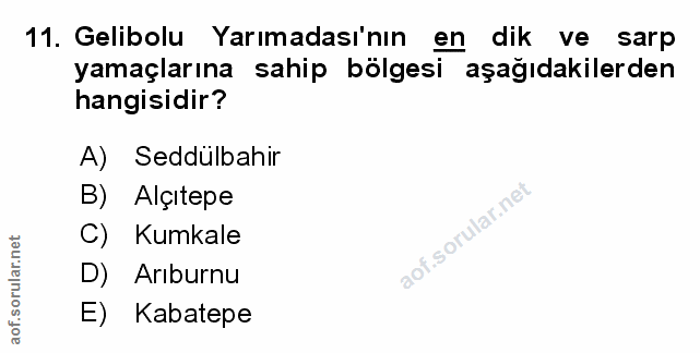 Soru 11