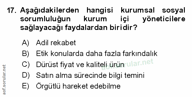 Soru 17