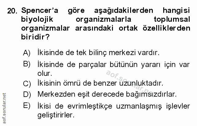 Soru 20