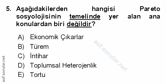 Soru 5