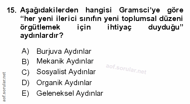 Soru 15