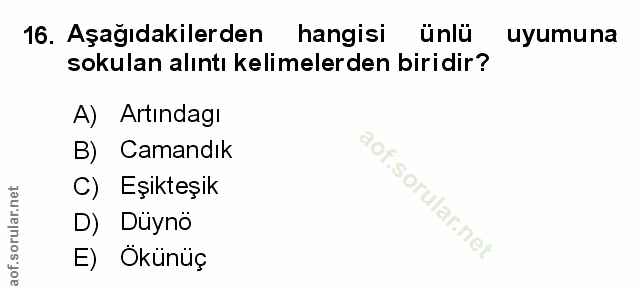 Soru 16