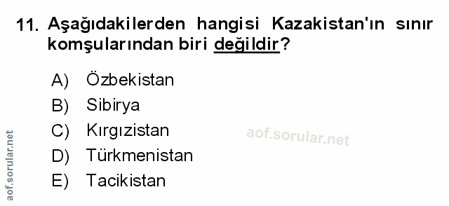 Soru 11