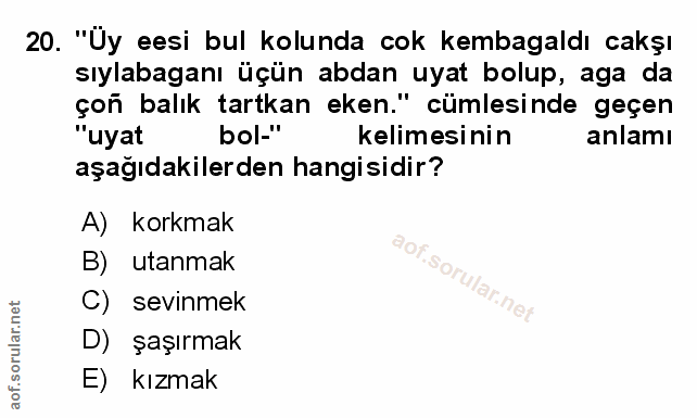 Soru 20