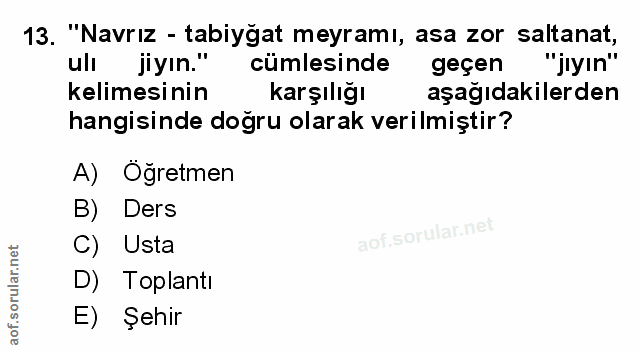 Soru 13
