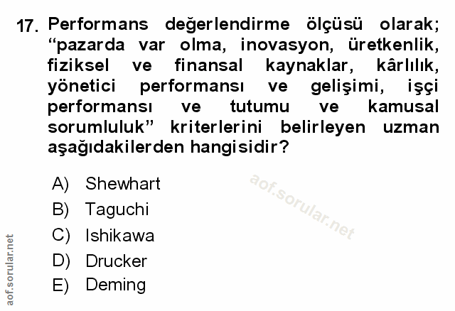 Soru 17