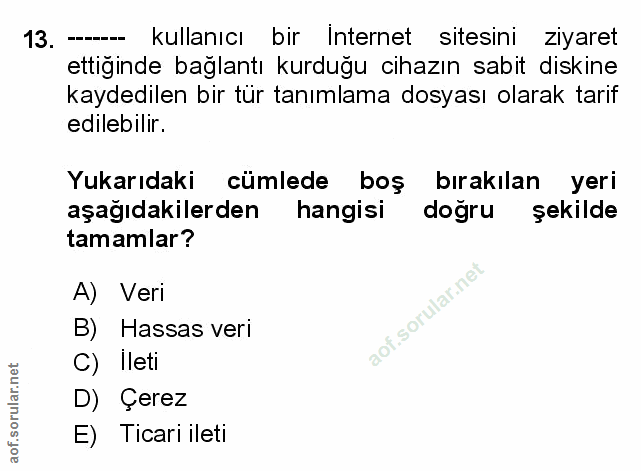 Soru 13