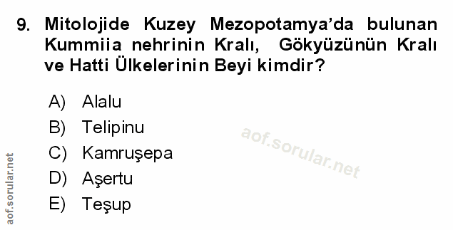 Soru 9