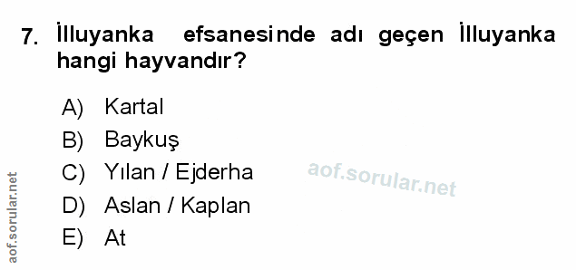 Soru 7
