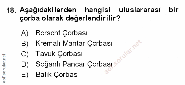 Soru 18