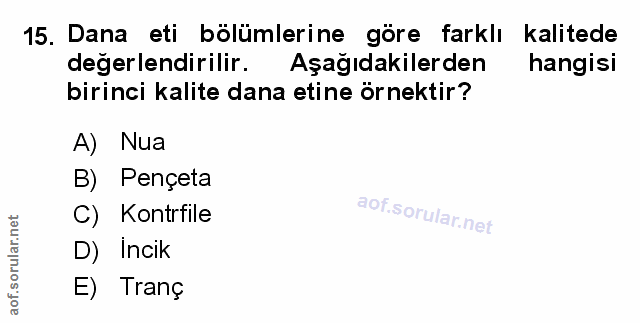 Soru 15