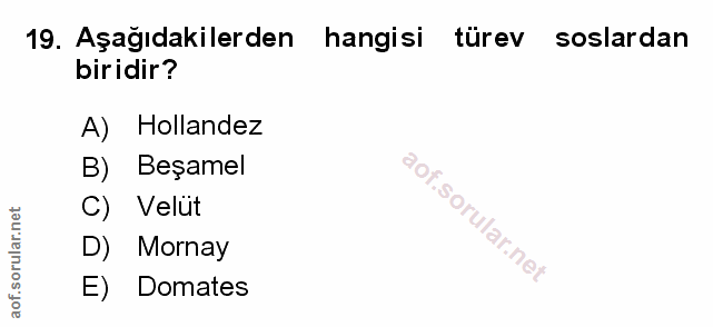 Soru 19