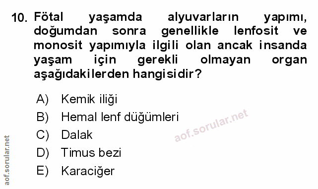 Soru 10