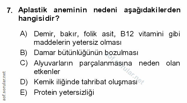 Soru 7