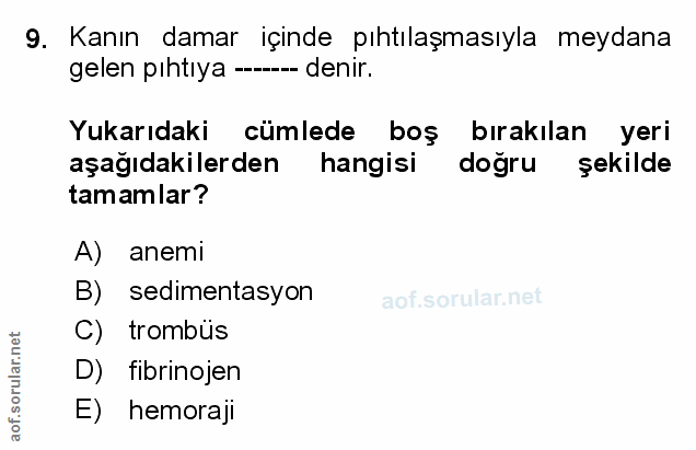 Soru 9
