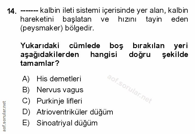 Soru 14