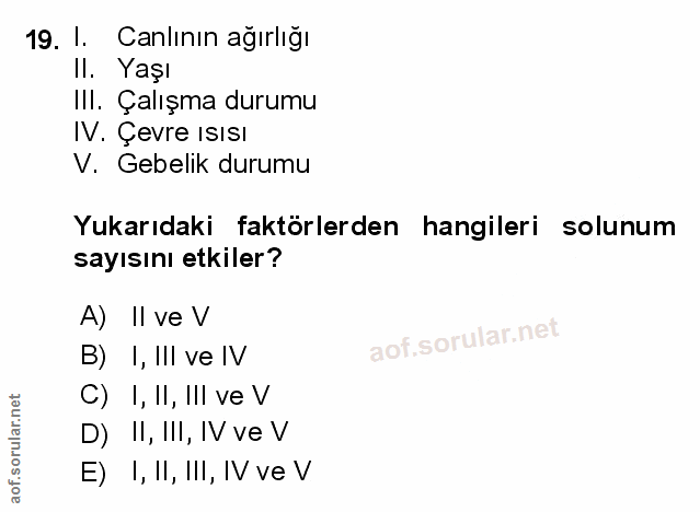 Soru 19