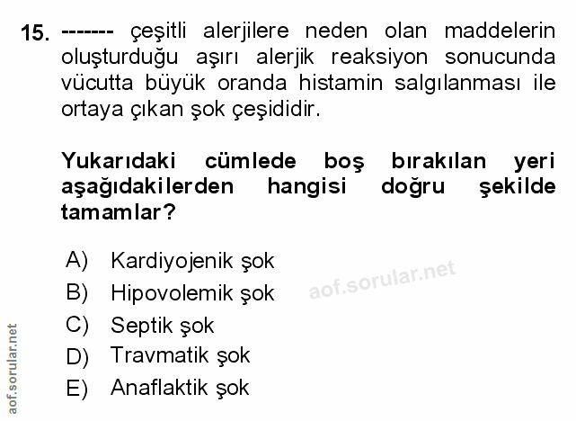 Soru 15
