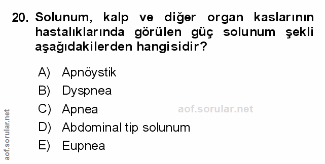 Soru 20