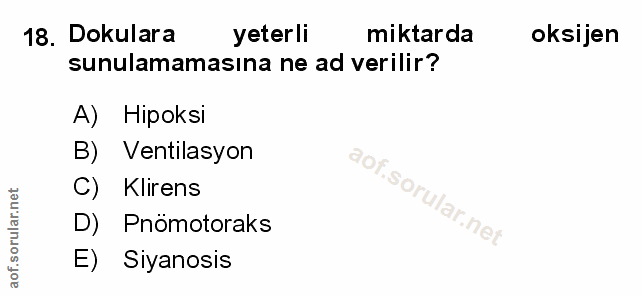 Soru 18