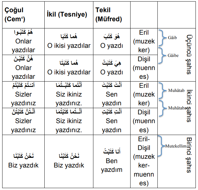 ARA1001-u01-Goruntu-1-2