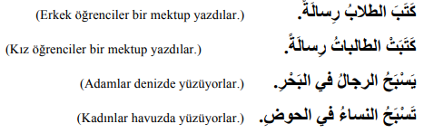 ARA1001-u01-Goruntu-4-3