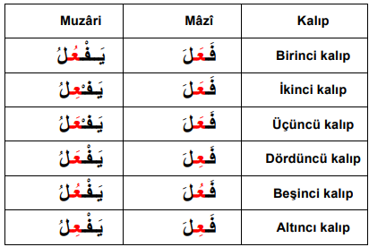 ARA1001-u01-Tablo-1-1