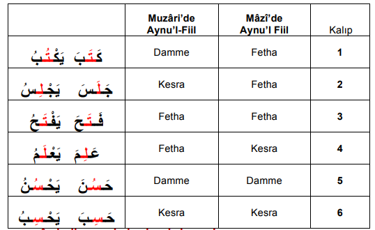 ARA1001-u01-Tablo-1-2