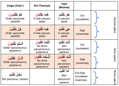 ARA1001-u01-Tablo-1-3