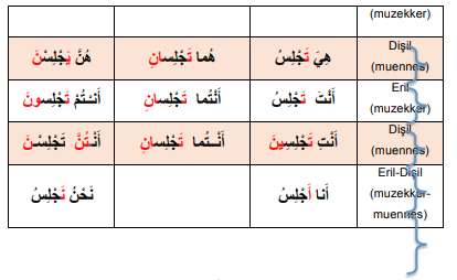 ARA1001-u01-Tablo-1-4_2