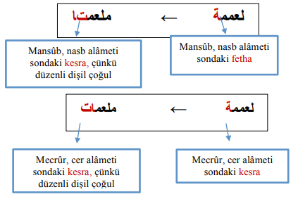 ARA1001-u01-Tablo-2-10