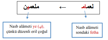 ARA1001-u01-Tablo-2-6