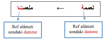 ARA1001-u01-Tablo-2-9