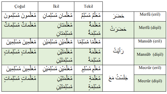 ARA1001-u07-Goruntu-8-2