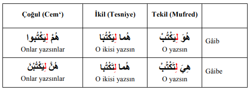 ARA1001-u09-Goruntu-10-1