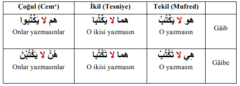 ARA1001-u09-Goruntu-10-2